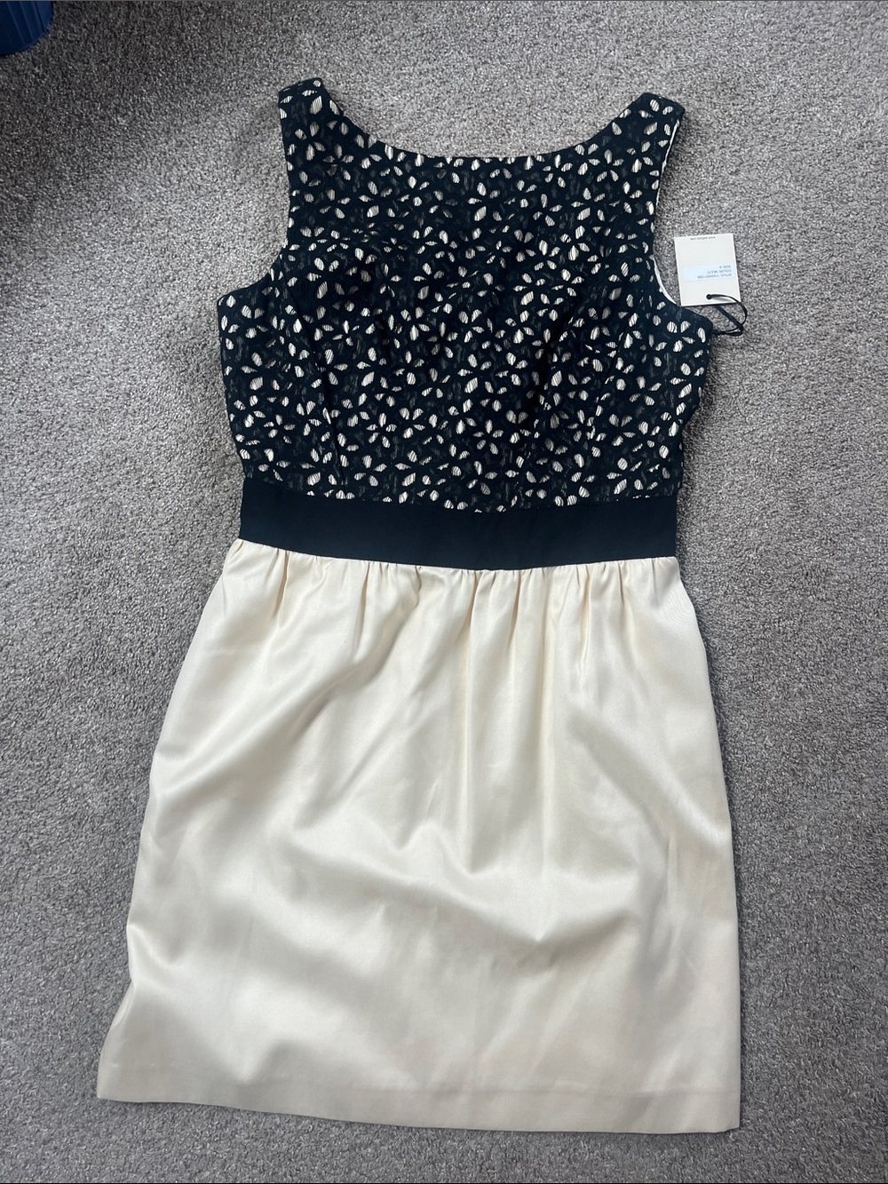 NWT Milly of New York Wool Silk Cotton Black Lace Cream Party Dress Bow Back sz6 - Picture 16 of 16